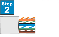 Untwist the pairs to the jacket. Arrange the wires according to TIA/EIA 568A or 568B standards. Flatten and align the wires. Make one straight cut across all the conductors, removing approximately 3/4".