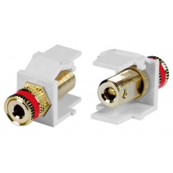 Leviton RCA Keystone Jacks, Female to Female