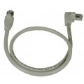 CAT6-RASV2-xx-GRAY-SHLD