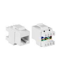 Linkbasic RJ45 Cat6 UTP Modular Plug