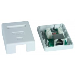 CAT5e Surface Mount Boxes, Shielded