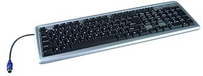 Standard PS2 Keyboard