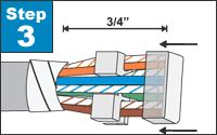 Flatten and align the wires. Trim the wires to 3/4” from the jacket.