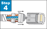 Insert prepared cable into plug.